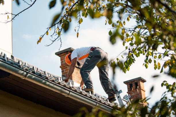 Best Roof Maintenance and Cleaning  in Brocton, NY