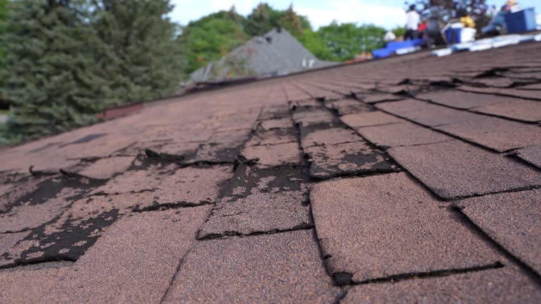 Best Roof Insulation Installation  in Brocton, NY