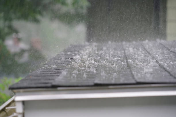 Best Roof Coating and Sealing  in Brocton, NY