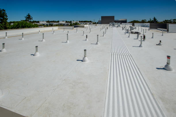Best Solar Panel Roofing Installation  in Brocton, NY